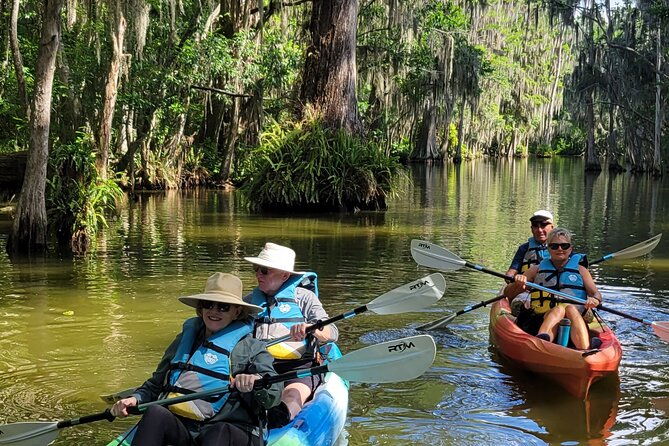 tavares-half-day-kayak-rental-for-two-on-the-dora-canal
