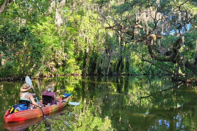 tavares-poppys-sweet-paddle-adventure-with-ice-cream