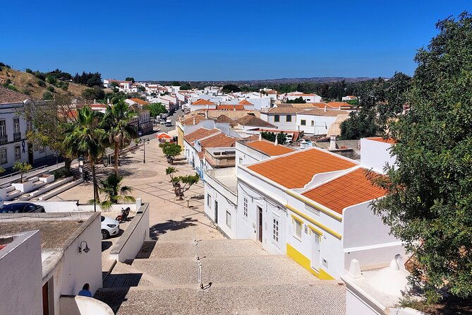 tavira-cacela-and-castro-marim-private-from-faro