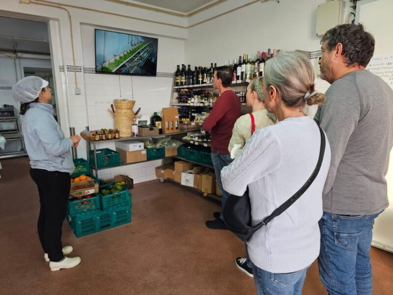 Tavira City & Olive Factory - Final Thoughts: Is This Tour Right for You?  