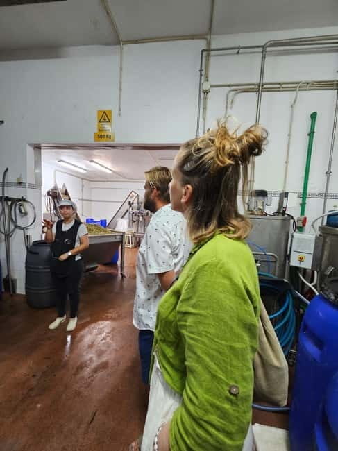 Tavira City & Olive Factory Tuktuk tour - The Olive Factory Experience
