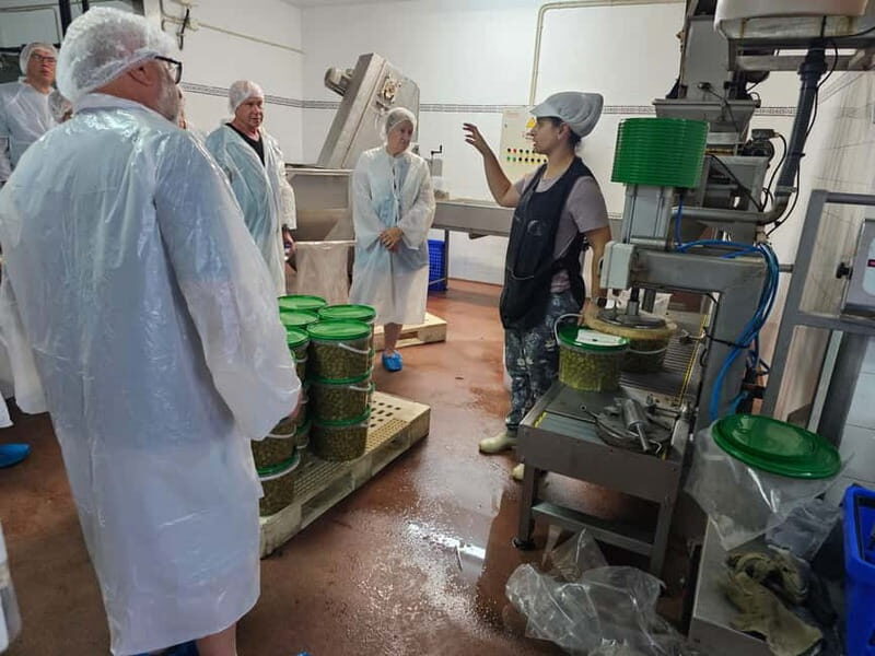 Tavira City & Olive Factory Tuktuk tour - Practical Details and Value