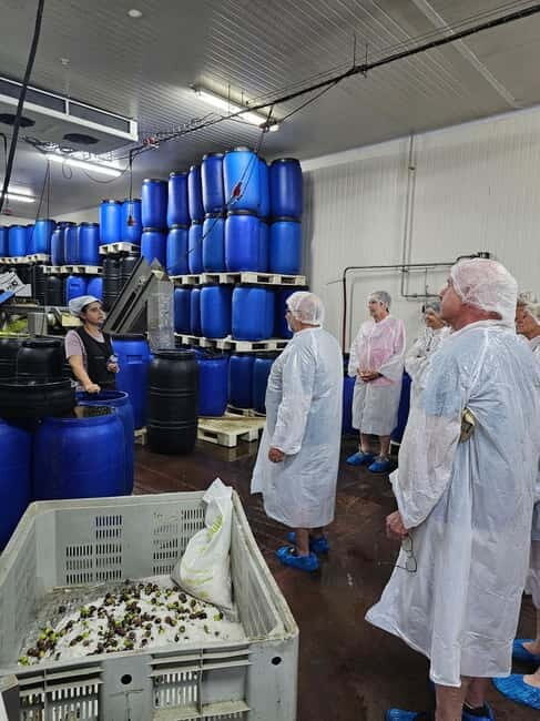 Tavira City & Olive Factory Tuktuk tour - Frequently Asked Questions