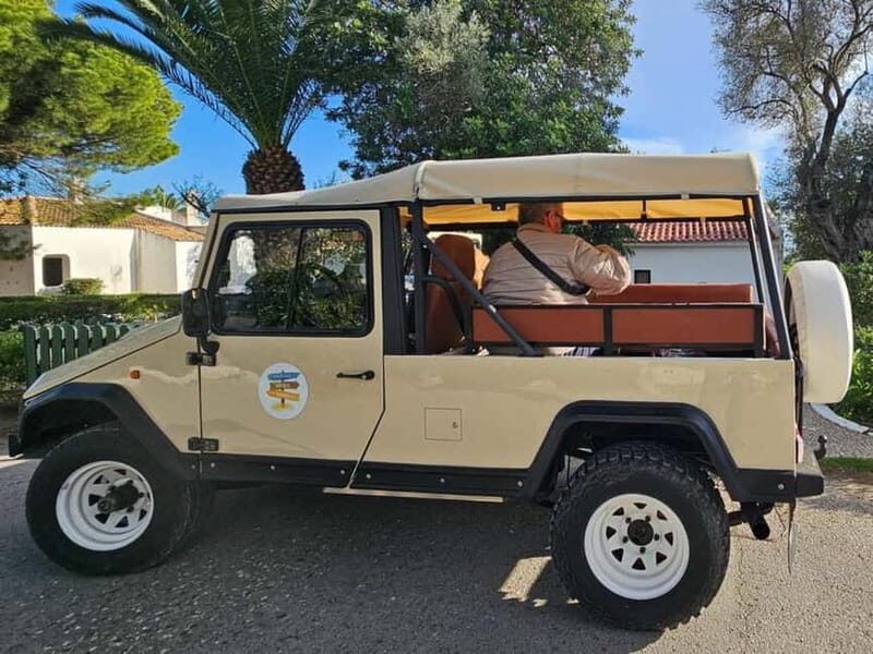 Tavira, Santa Luzia & Wine Tasting - Key Points