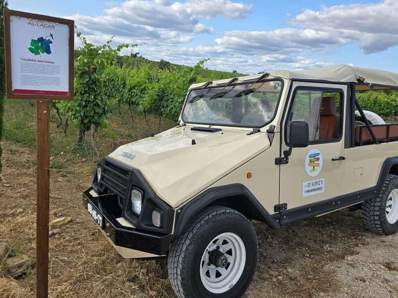 Tavira, Santa Luzia & Wine Tasting - Wine & Gastronomy: Savoring the Algarve