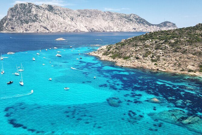 Tavolara excursion - What to Expect from the Tavolara Excursion
