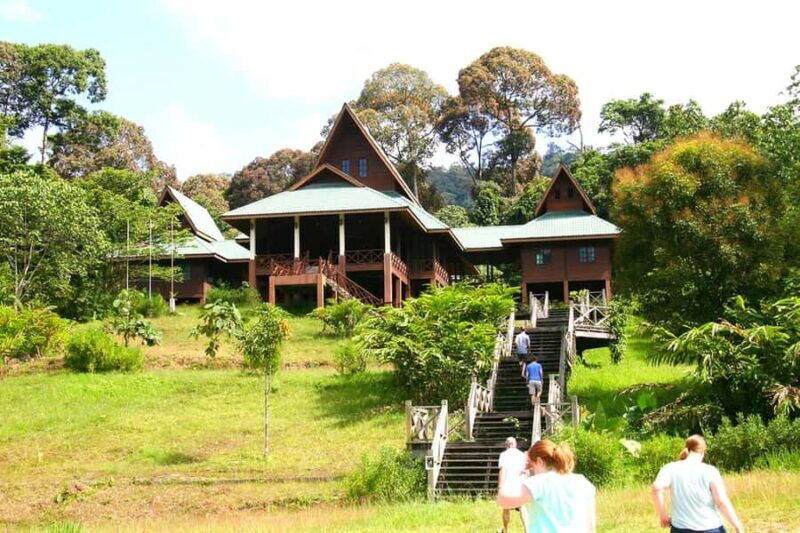 Tawau: 3D2N Maliau Basin The Base - Lost World Expedition - Final Day: Birdwatching and Return to Reality