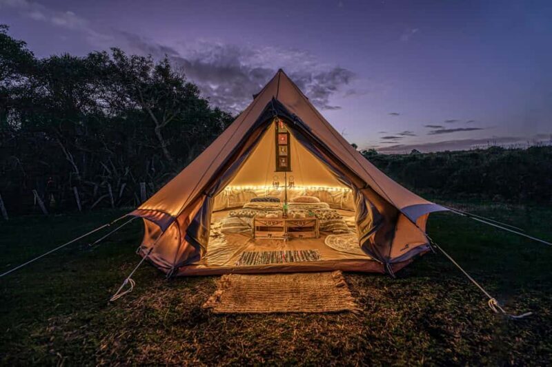 Tawharanui: Kiwi Spotting & Stargazing Tour w/ Optional Stay - An Authentic Night in Tawharanui