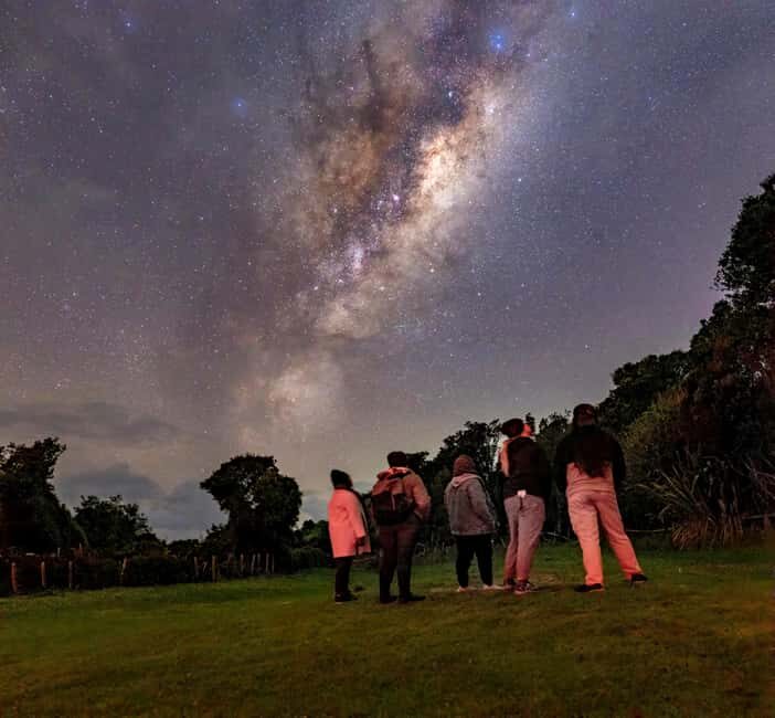 Tawharanui: Kiwi Spotting & Stargazing Tour w/ Optional Stay - Optional Glamping: Sleep Among the Birds