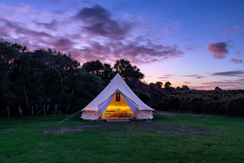 Tawharanui: Kiwi Spotting & Stargazing Tour w/ Optional Stay - Who Will Love This Tour?