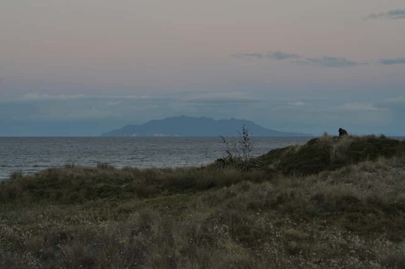 Tawharanui: Kiwi Spotting & Stargazing Tour w/ Optional Stay - FAQs