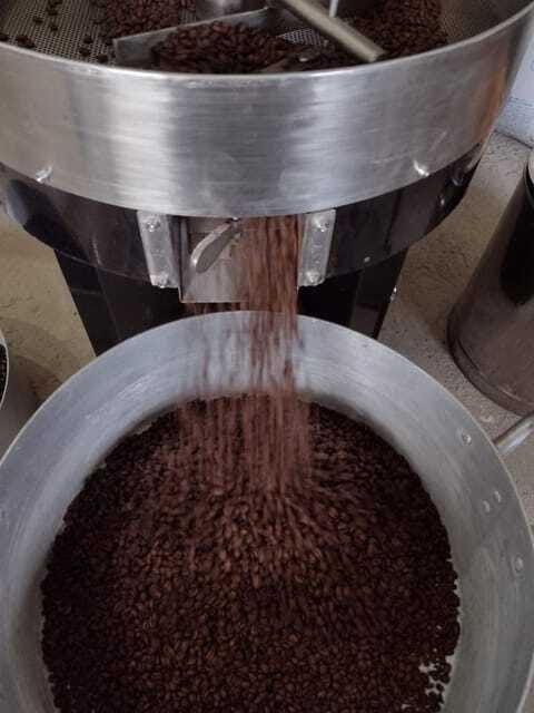 taxco-organic-coffee-garden-experience