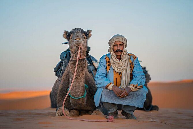 Taxi airport from Marrakech to medina and city tour - The Sum Up