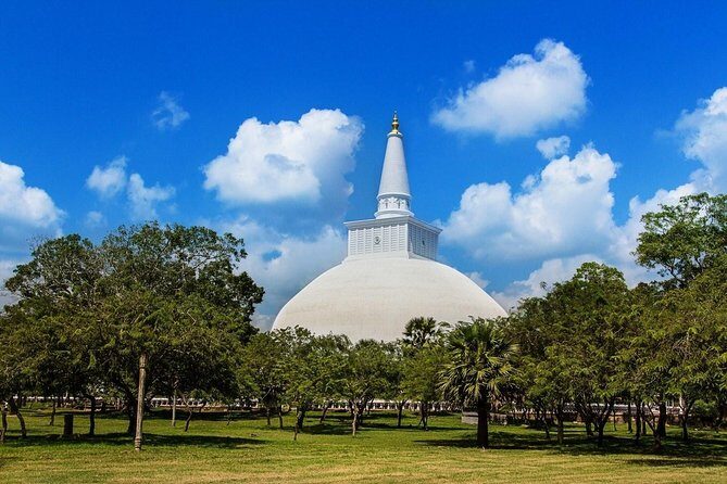 Taxi From Anuradhapura to Airport / Colombo (Private) - Who Should Consider This Service?