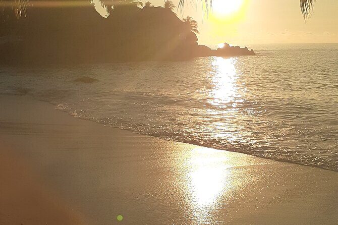 Taxi service & Mahe Island tours - Why Choose a Private Tour of Mahe Island?