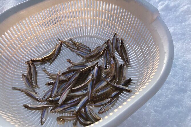 Taxi Tour (4+):Smelt Fishing, Strawberry Picking & ROYCE Factory - FAQ