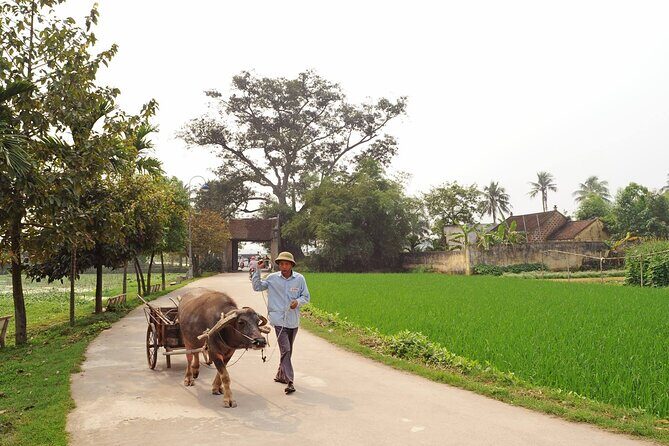 Tay phuong pagoda and Duong Lam ancient village with biking - Why This Tour Stands Out