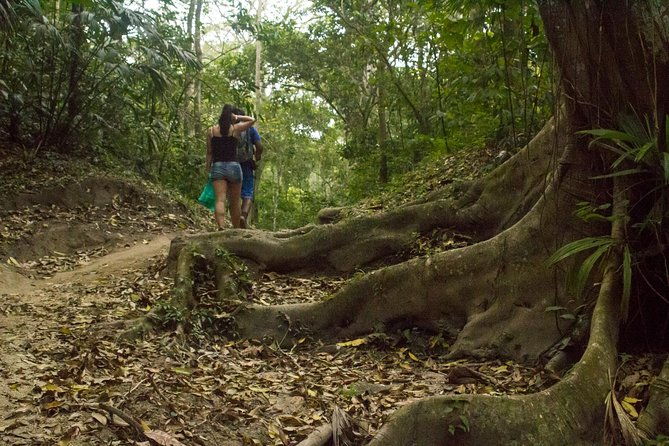 tayrona-national-park-trek-to-cabo-san-juan