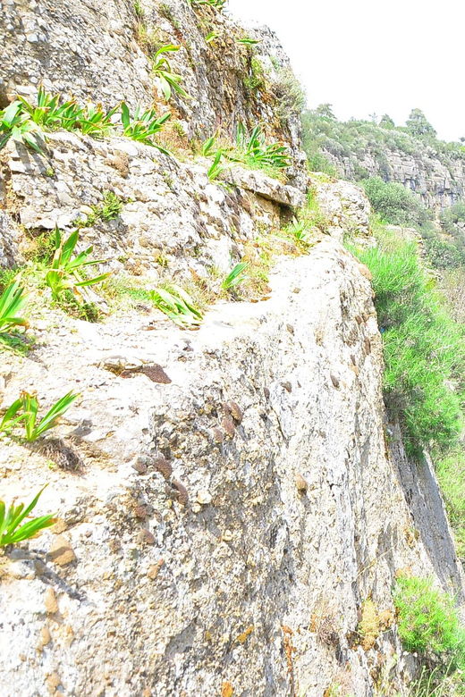 tazi-canyon-avatar-lands-and-selge-ancient-city-tour