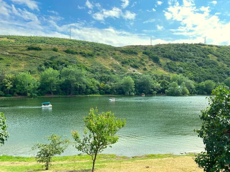 Tbilisi 2 Parks: Turtle Lake & Dedaena Park with Flea Market - Why We Think This Tour Offers Good Value