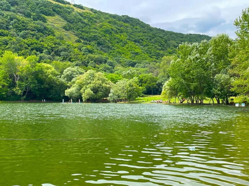 Tbilisi 2 Parks: Turtle Lake & Dedaena Park with Flea Market - Who Will Enjoy This Tour?