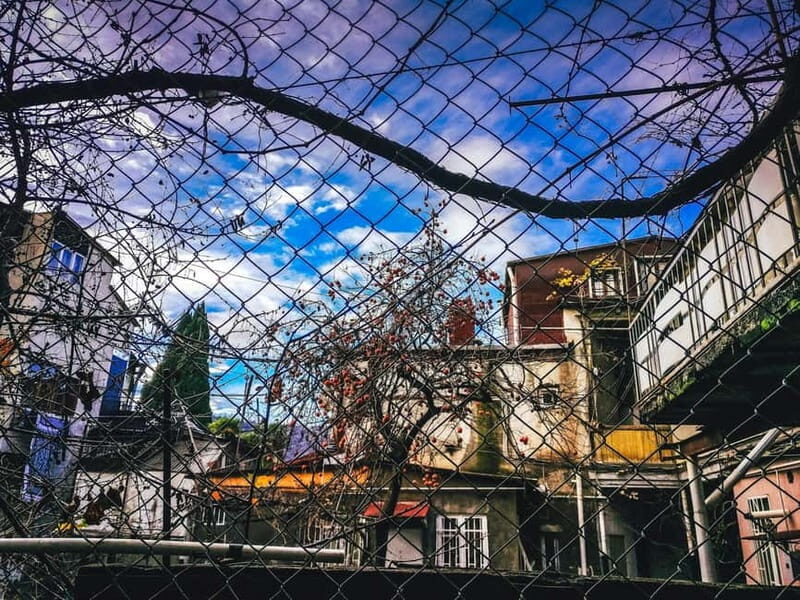 Tbilisi: 50+ Hidden Gems Guided Tour - FAQs About the Tbilisi Hidden Gems Tour