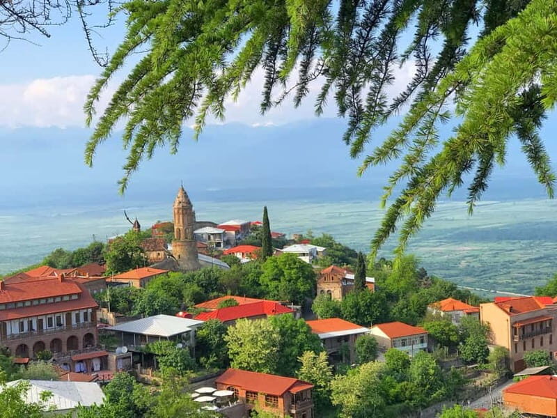 Tbilisi: Full-Day Kakheti & Sighnaghi Tour with Wine Tasting - Final Thoughts: Who Should Take This Tour?