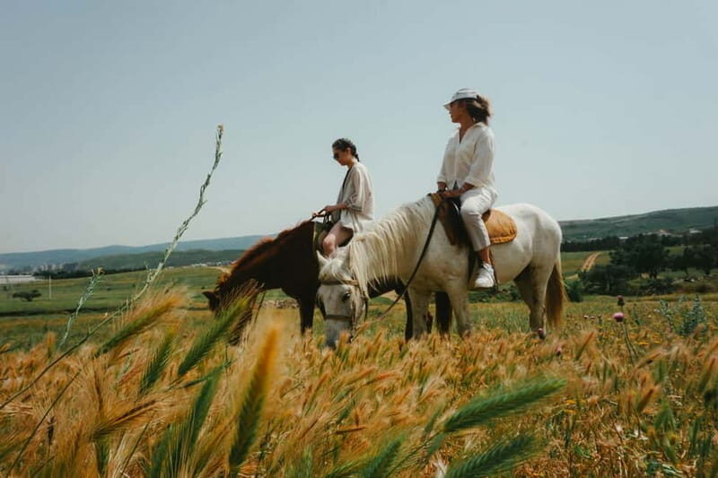 Tbilisi: Horseback Riding Experience - What Makes This Horseback Riding Tour Stand Out?