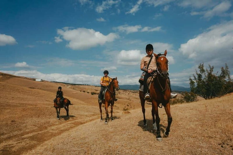 Tbilisi: Horseback Riding Experience - Who Will Enjoy This Experience?