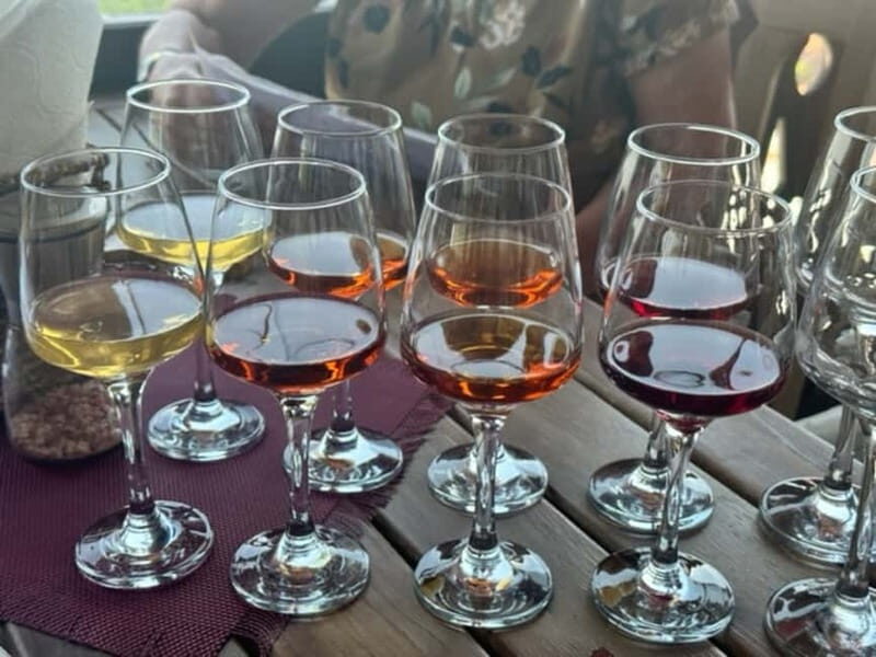 Tbilisi: Individual Wine Tasting with Professional Sommelier - Key Points
