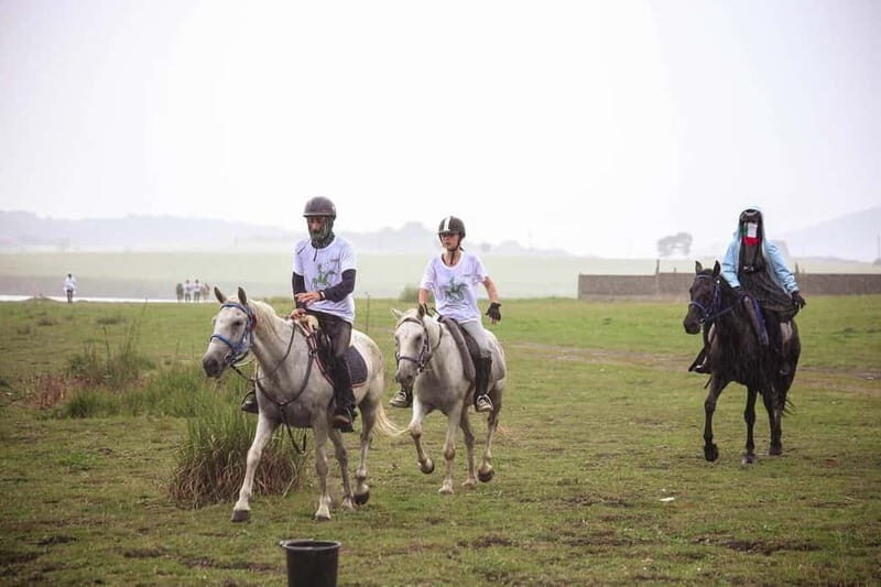 Tbilisi: Kakheti Horse Riding, Wine Tasting, and Cooking - Who is this tour best suited for?