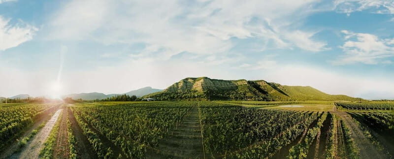 Tbilisi: Kakheti Horse Riding, Wine Tasting, and Cooking - FAQ