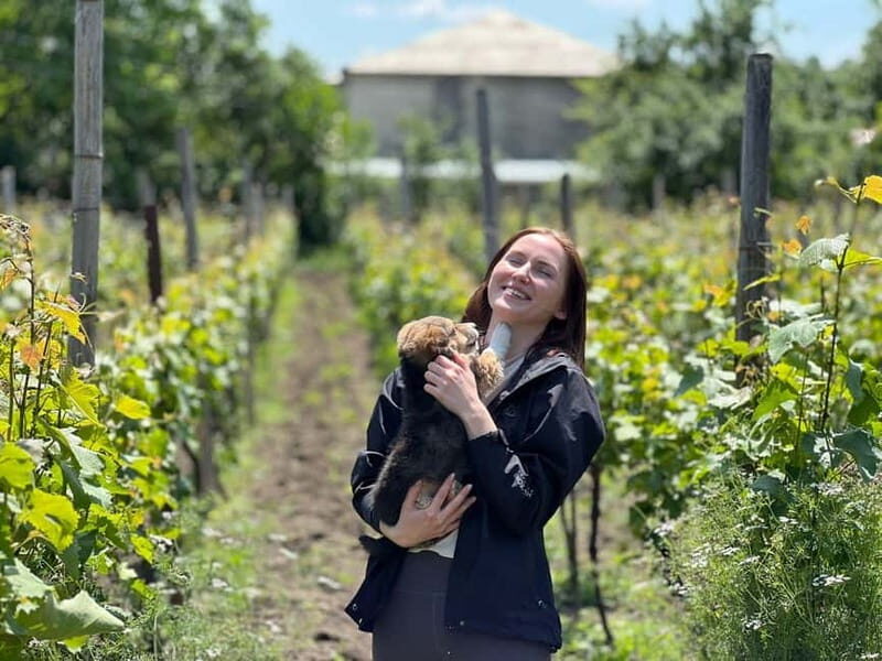 Tbilisi: Kakheti Private Wine Tour with Family Lunch - Practical Details and Value