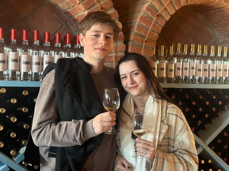 Tbilisi: Kakheti Wine Region Tour with 10 Wine Tastings - Who Will Love This Experience?