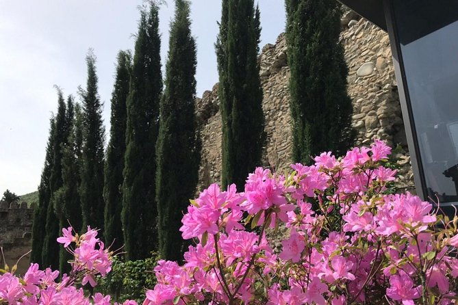 tbilisi-mtskheta-bus-tour-hop-on-hop-off