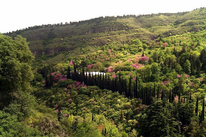 tbilisi-mtskheta-city-tour