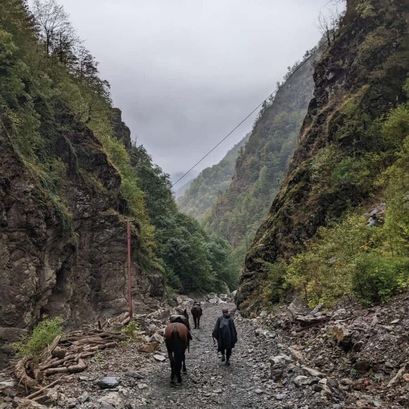 Tbilisi: Pankisi Gorge Horse Riding Tour with Dinner - Detailed Breakdown of the Experience