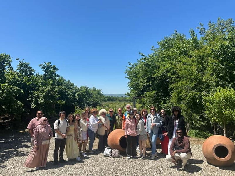 Tbilisi to Kakheti: 7Wine Tasting, Sighnaghi & Monument - Wine and Culinary Experiences