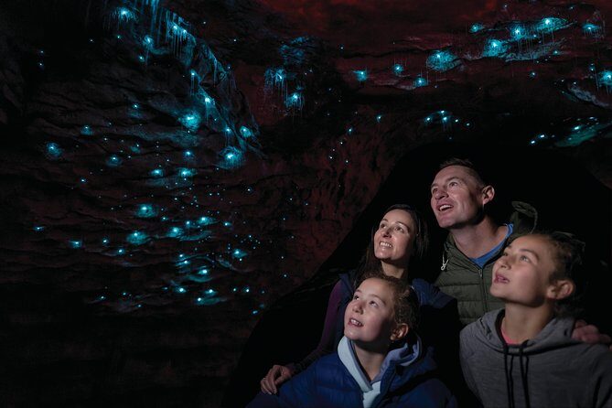 Te Anau Glow Worm Caves Tour - Who Would Love This Tour?