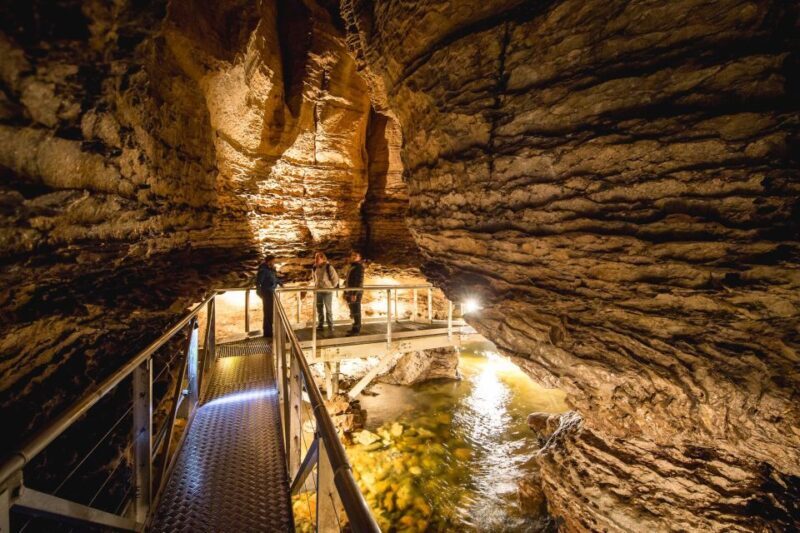 Te Anau: Glowworm Caves Guided Tour - The Sum Up