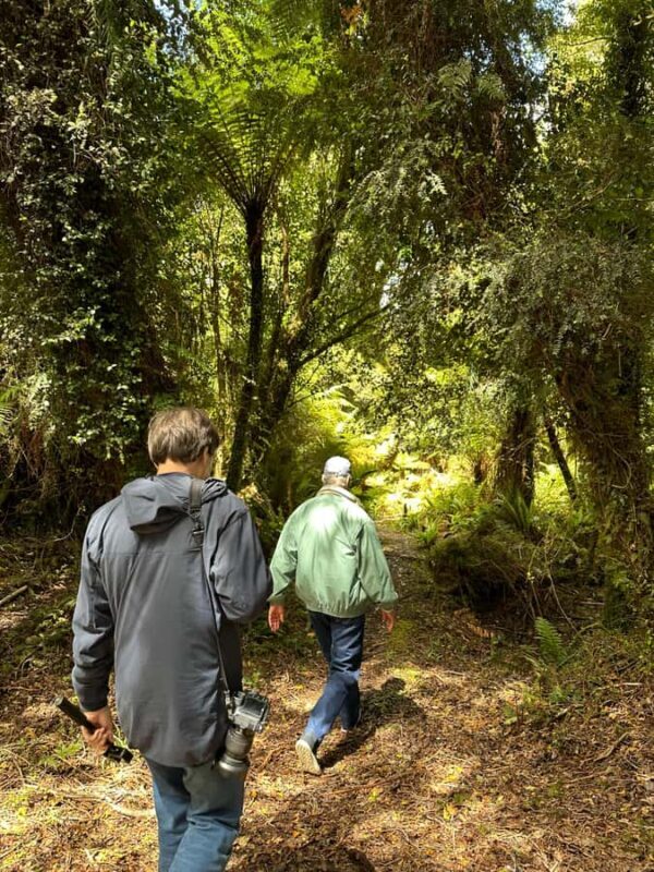 Te Anau: Kepler Heli Hike (unguided) - The Flight: From Foothills to Mountain Tops