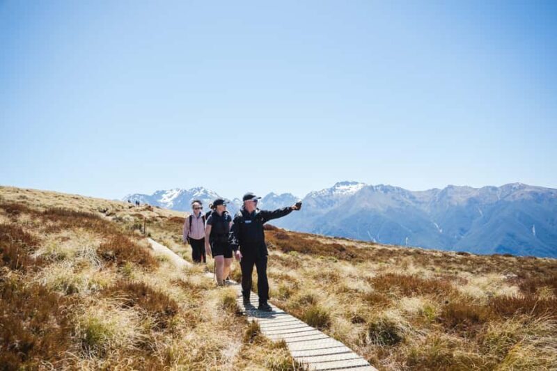 Te Anau: Kepler Track Helicopter Hike with Boat Ride - Picnic Lunch and Scenic Breaks