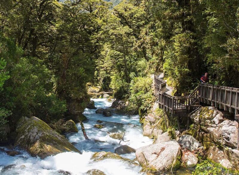 Te Anau: Lake Marian Guided Day Hike with Lunch - Why We Think This Tour Is Worth Considering