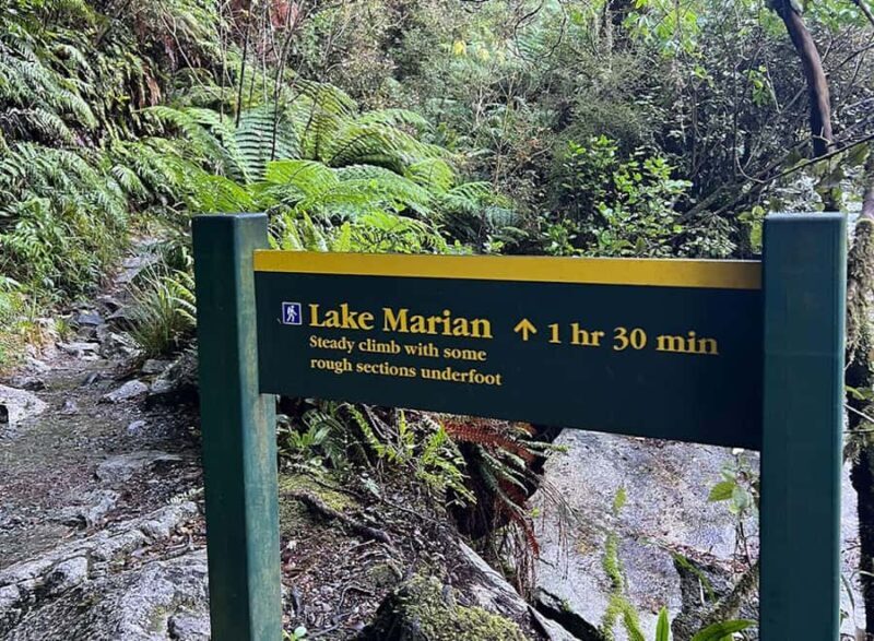 Te Anau: Lake Marian Guided Day Hike with Lunch - Transportation and Price Point
