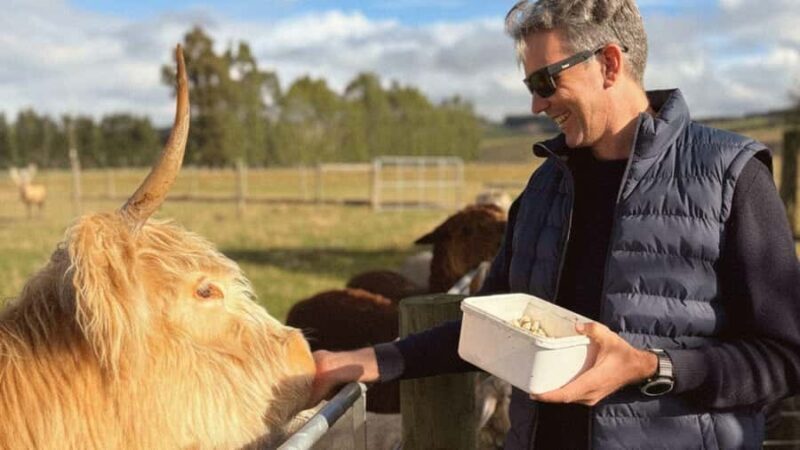 Te Anau: Milford Sound Coach & Cruise with Farm Experience - Key Points