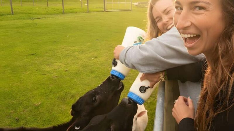 Te Anau: Milford Sound Coach & Cruise with Farm Experience - FAQ