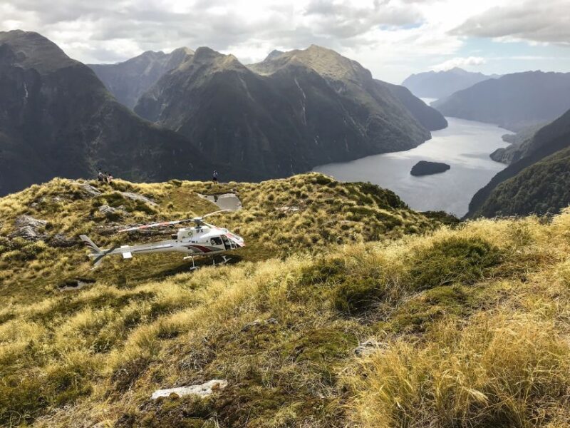 Te Anau: Milford Sound Scenic Flight with Lakeside Landing - Who Should Consider This Tour?
