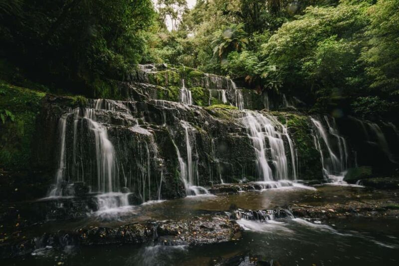 Te Anau to Dunedin via the Catlins & Invercargill 1 Way Tour - Key Points