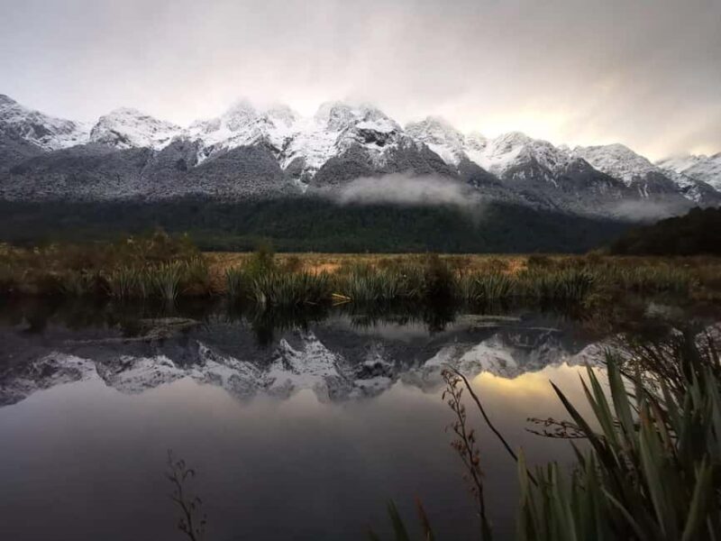 Te Anau to Queenstown inc Milford Sound Tour, Cruise & Lunch - What Makes This Tour Stand Out?