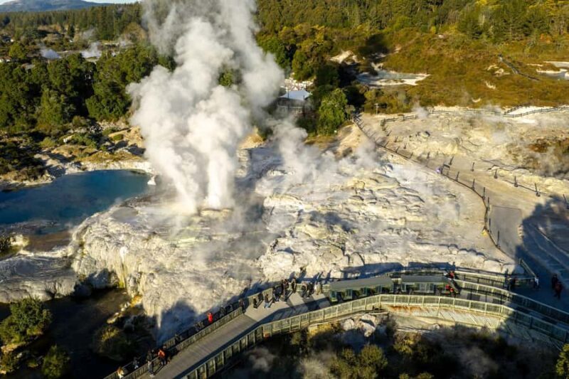 Te Puia: Te R Guided Day Tour + Haka Cultural Performance - Authenticity and Review Insights